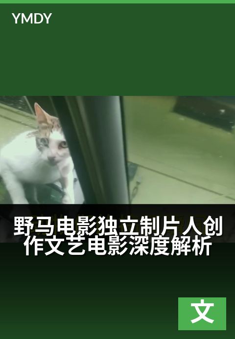 野马电影文艺片纪实类野马电影独立制片人创作文艺电影深度解析 - 镜头语言下的精神漫游与叙事突围作者电影完整版