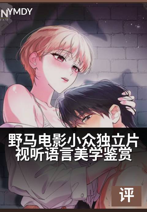 野马电影小众独立片视听语言美学鉴赏 - 在光影的缝隙中，聆听未被驯服的影像诗篇