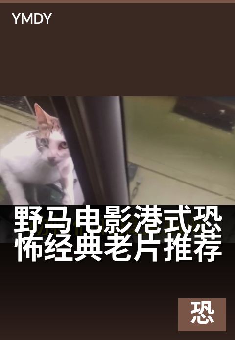 野马电影港式恐怖经典老片推荐 - 午夜惊魂：港产鬼片经典盘点