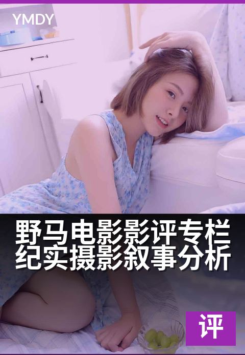 下一篇：野马电影影评专栏纪实摄影叙事分析 - 光影之间，灵魂的奔腾