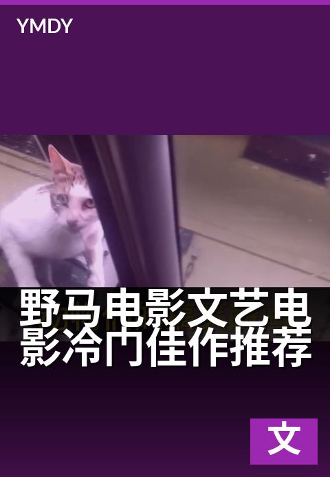 野马电影文艺电影冷门佳作推荐 - 那匹烈马，困在少女的夏天