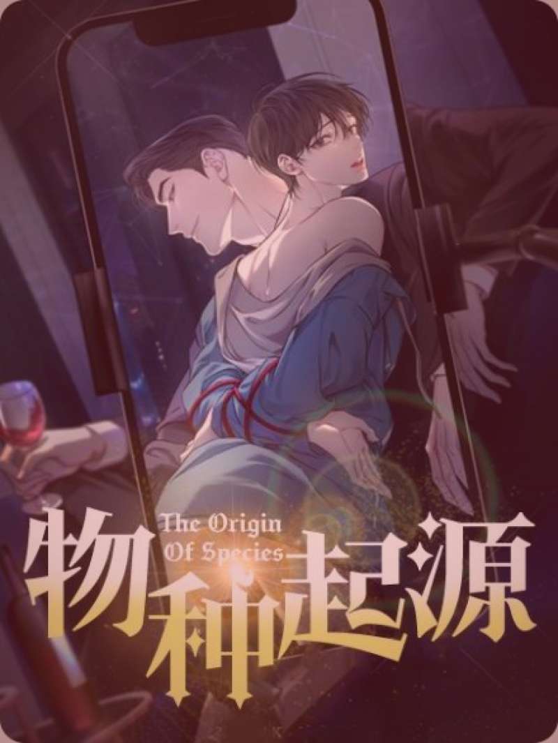 阳光透过茂密森林的叶片洒下道道光束，一条小径通向幽深之处