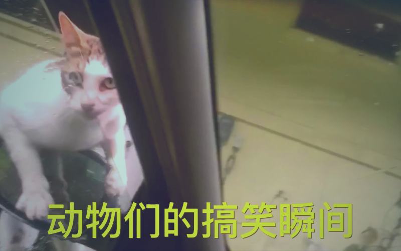 黑白电影中主角在昏暗房间内凝视镜头的剧照，暗示悬疑与反转氛围